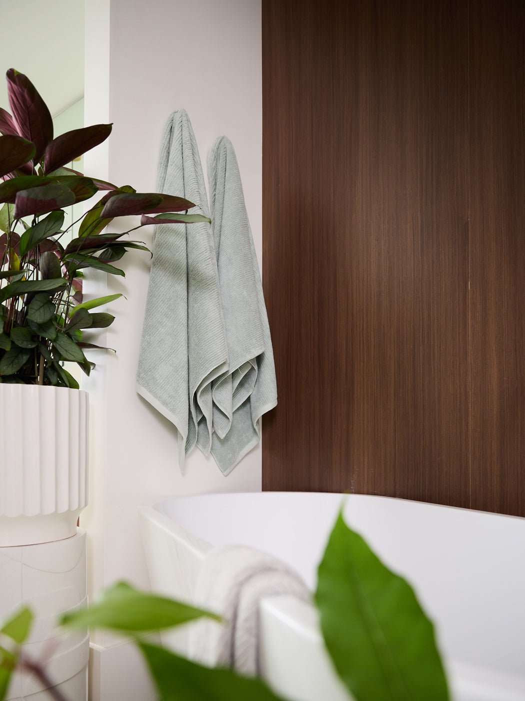 Two Cozy Earth Ribbed Terry Bath Sheets in light gray hang on a wall by a bathtub. A large potted plant with green and purple leaves is nearby, set against a white and dark wood panel wall.